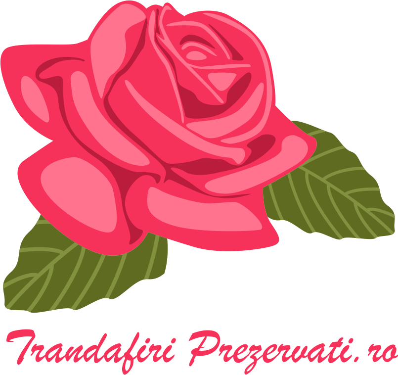 Trandafiri Criogenati Romania