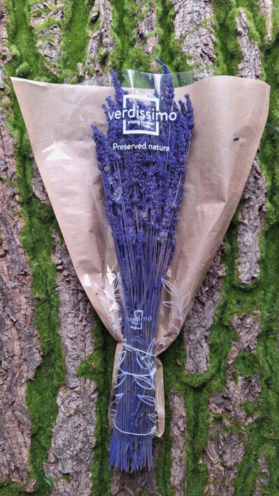 Lavanda stabilizata –  LVE 0820