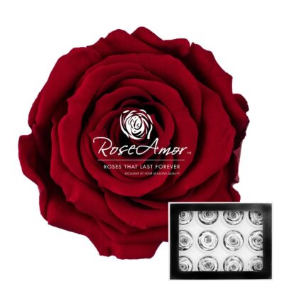 Warmi S RED-01