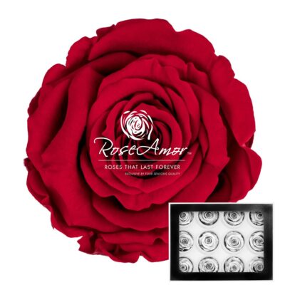 Warmi S RED-02
