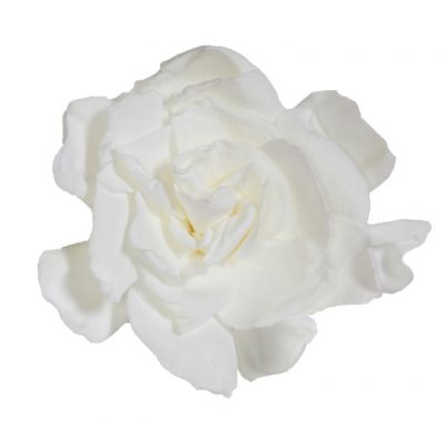 Gardenia