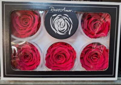 RoseAmor XL PIN-03