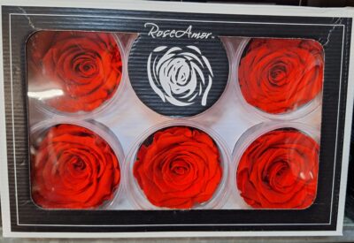 RoseAmor XL ORA-03