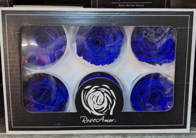 RoseAmor XL BLU-03