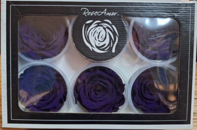 RoseAmor XL PUR-01