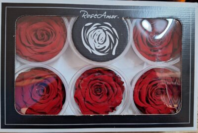 RoseAmor XL RED-01