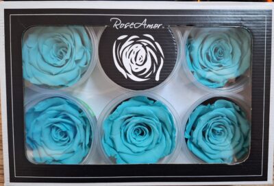 RoseAmor XL BLU-02