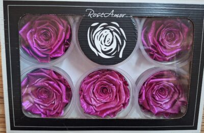 RoseAmor XL M4 WHI-04 PINK