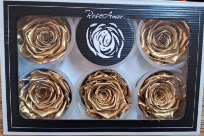 RoseAmor XL M4 WHI-04 GOLD