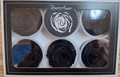 RoseAmor XL BLA-01