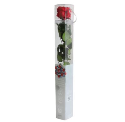 Rose with stem Standard Verdissimo PRZ-1200