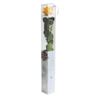 Rose with stem Standard Verdissimo PRZ-1350