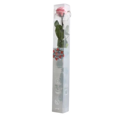 Rose with stem Standard Verdissimo PRZ-1420