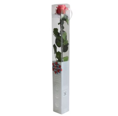 Rose with stem Standard Verdissimo PRZ-1490