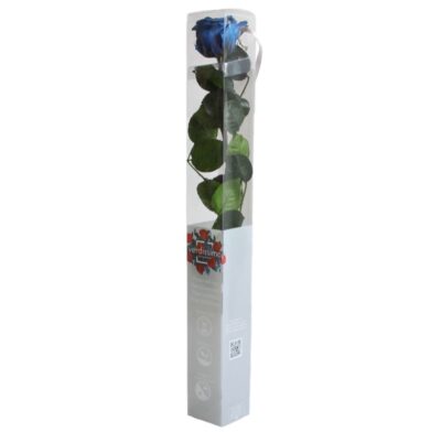 Rose with stem Standard Verdissimo PRZ-1630