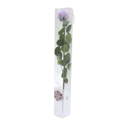 Rose with stem Standard Verdissimo PRZ-1830