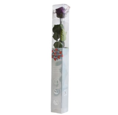 Rose with stem Standard Verdissimo PRZ-1840