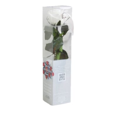 Rose with stem Mini Verdissimo PRZ-2000