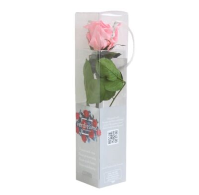 Rose with stem Mini Verdissimo PRZ-2420