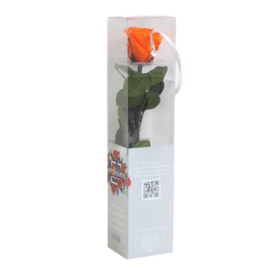 Rose with stem Mini Verdissimo PRZ-2530