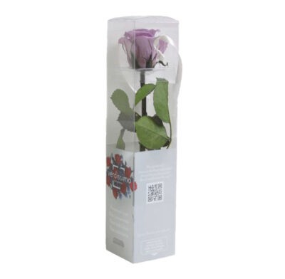 Rose with stem Mini Verdissimo PRZ-2830