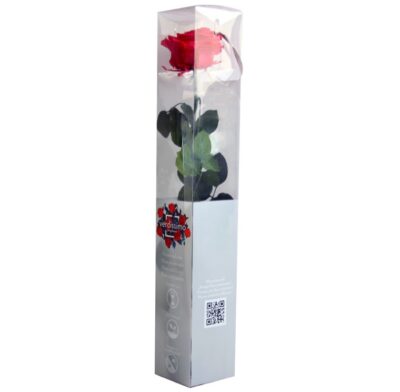 Rose with stem Premium Verdissimo PRZ-7490
