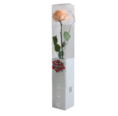 Rose with stem Premium Verdissimo PRZ-7550