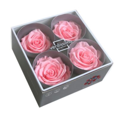 Verdissimo -Rose Premium RSG 2420 Pink