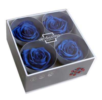 Verdissimo -Rose Premium RSG 2630 Dark Blue