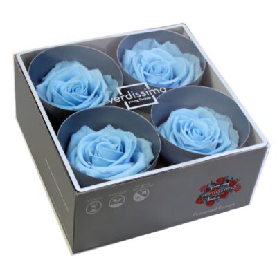 Verdissimo -Rose Premium RSG 2640 Light Blue