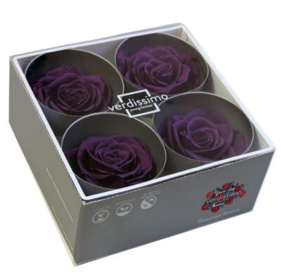 Verdissimo -Rose Premium RSG 2840 Purple