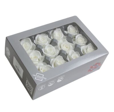 Verdissimo -Rose Mini RSM 1000 White