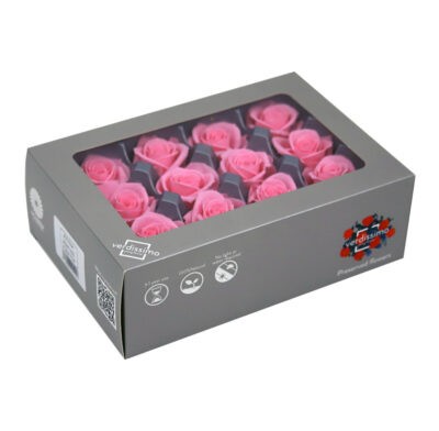 Verdissimo -Rose Mini RSM 1420 Pastel Pink
