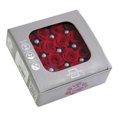 Verdissimo -Rose Princess RSP 4200 Red