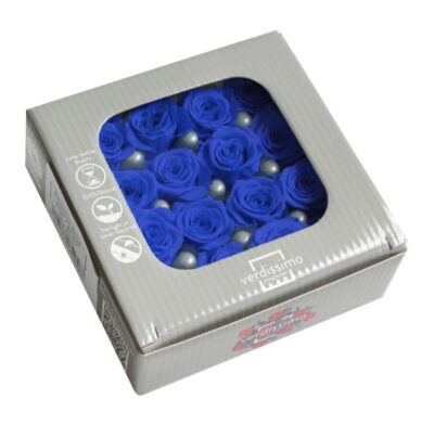 Verdissimo -Rose Princess RSP 4630 Dark Blue