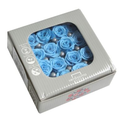 Verdissimo -Rose Princess RSP 4640 Light Blue