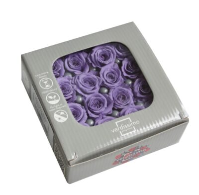 Verdissimo -Rose Princess RSP 4831 Lilac