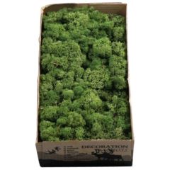 Reindeer Moss- Green