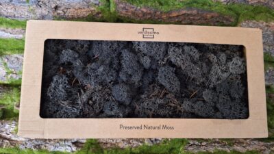 Reindeer Moss – Black