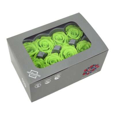 VERDISSIMO -ROSE MEDIUM RME 3170 VERDE CITRON