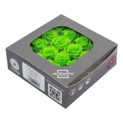 VERDISSIMO -ROSE PRINCESS RSP 4170 Verde Citron