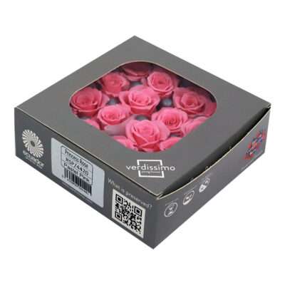 VERDISSIMO -ROSE PRINCESS RSP 4420 Rose Pastel