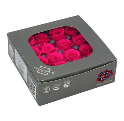 VERDISSIMO -ROSE PRINCESS RSP 4430 Fuchsia