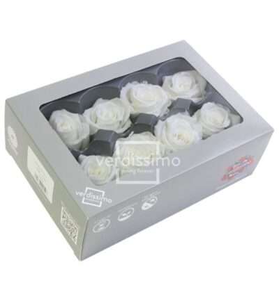 Verdissimo -Rose Princess RME 3000 White