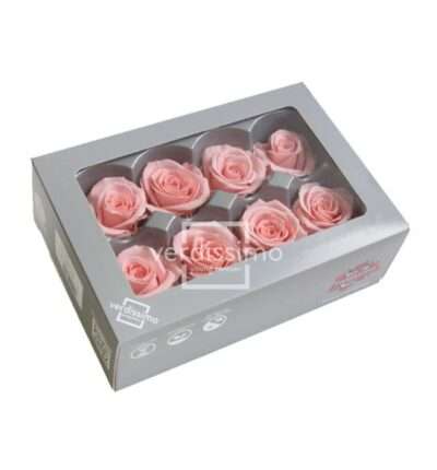 VERDISSIMO -ROSE PRINCESS RME 3420 Pastel Pink