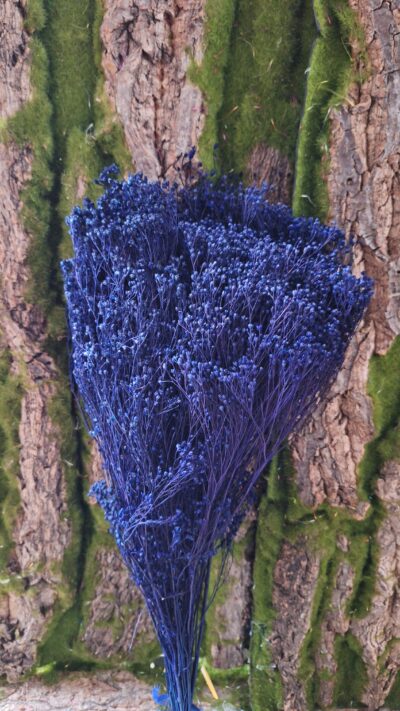 BROOM BLOOM BLU