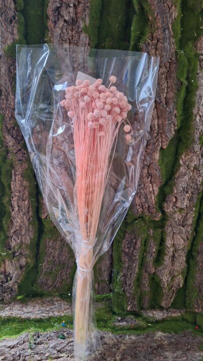 BOTAO ROSA