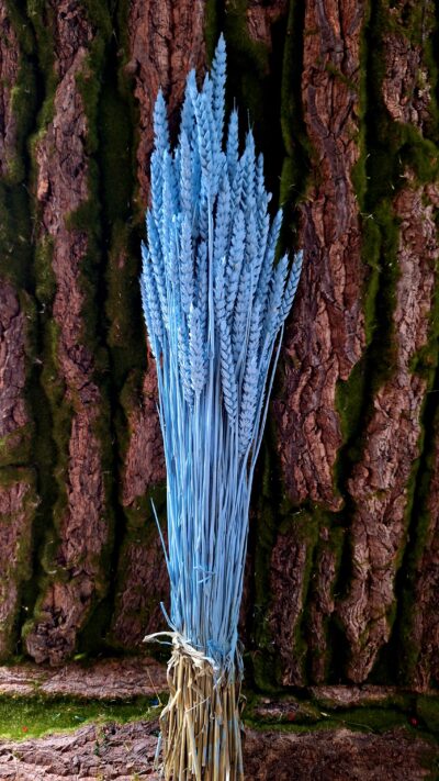 SPICE GRAU TURCHESE