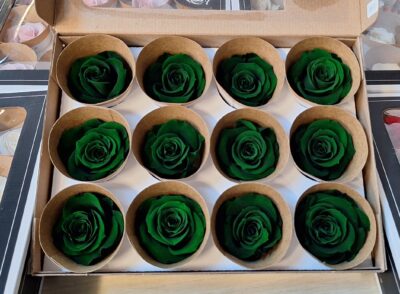 ROSEAMOR M GRE-02