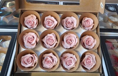 ROSEAMOR M PIN-04